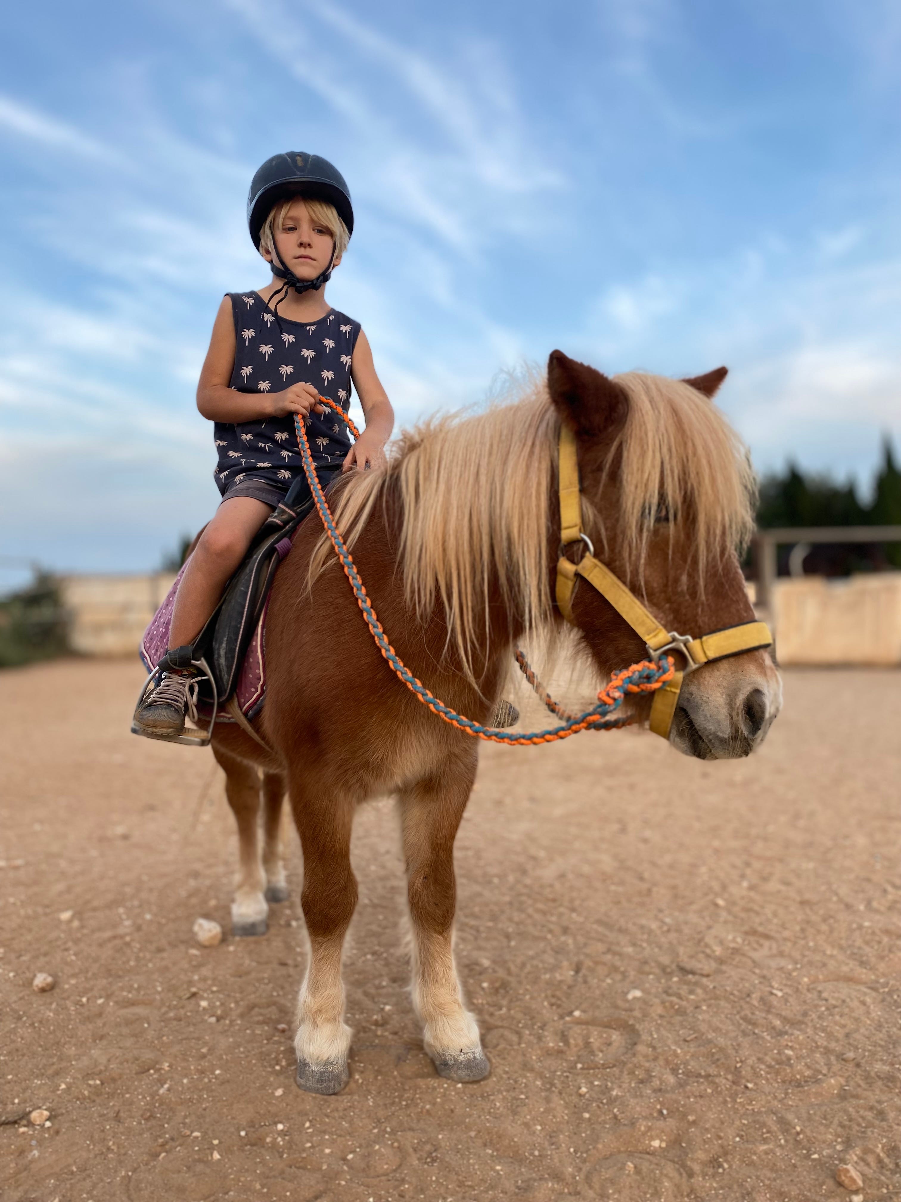 Justus, sein Cousin und die Omi gemeinsam im Urlaub in der Lüneburger Heide
