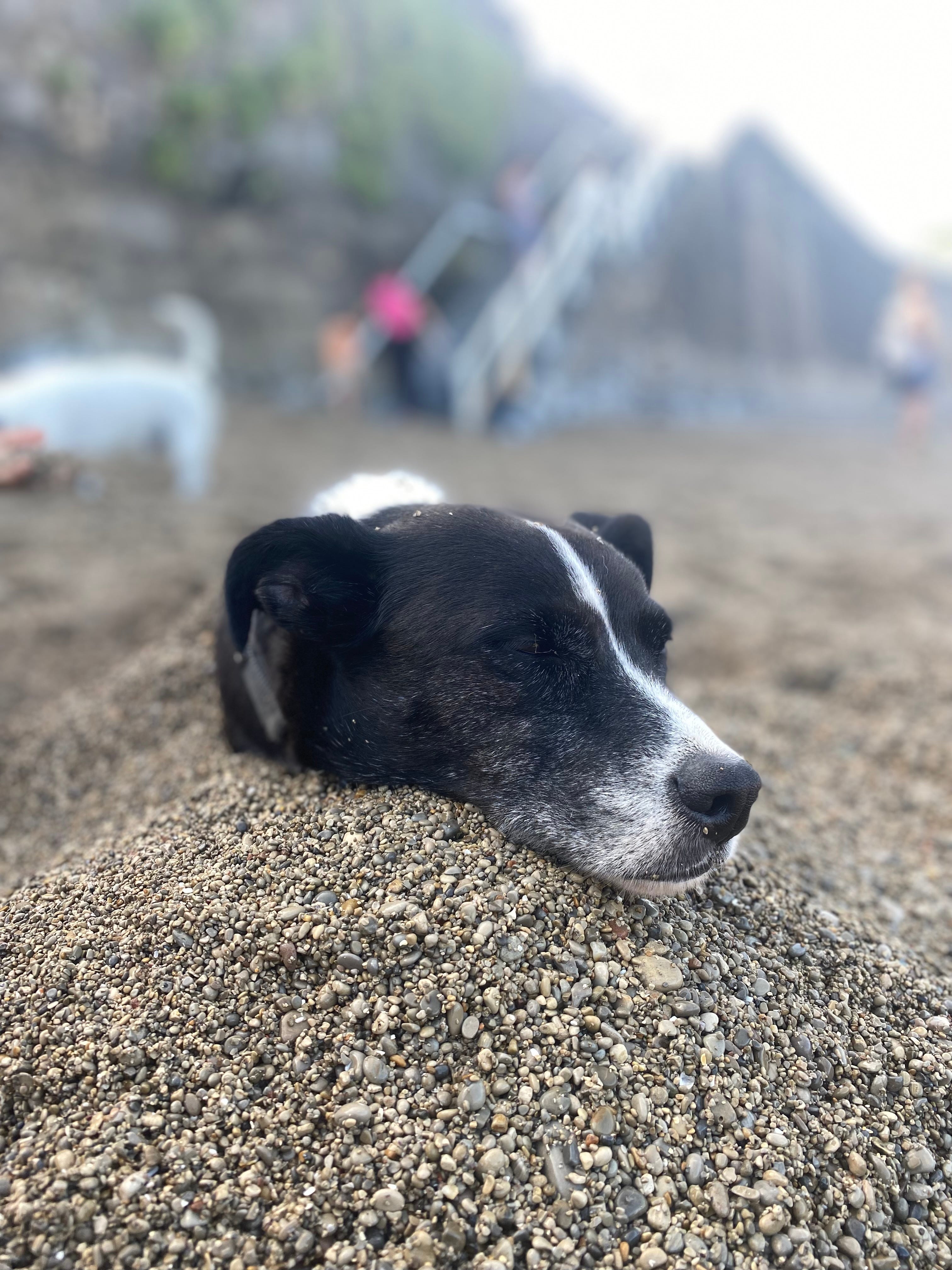 Justus, sein Cousin und die Omi gemeinsam im Urlaub in der Lüneburger Heide