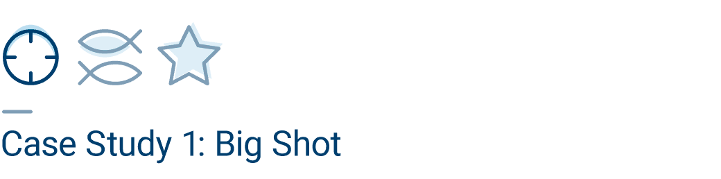 Zielscheibe, Fische, Stern und darunter Textfeld Case Study 1: Big Shot