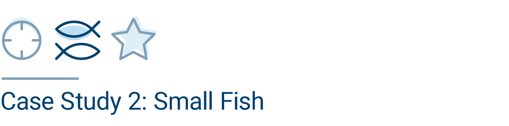 Zielscheibe, Fische, Stern und darunter Textfeld Case Study 2: Small Fish