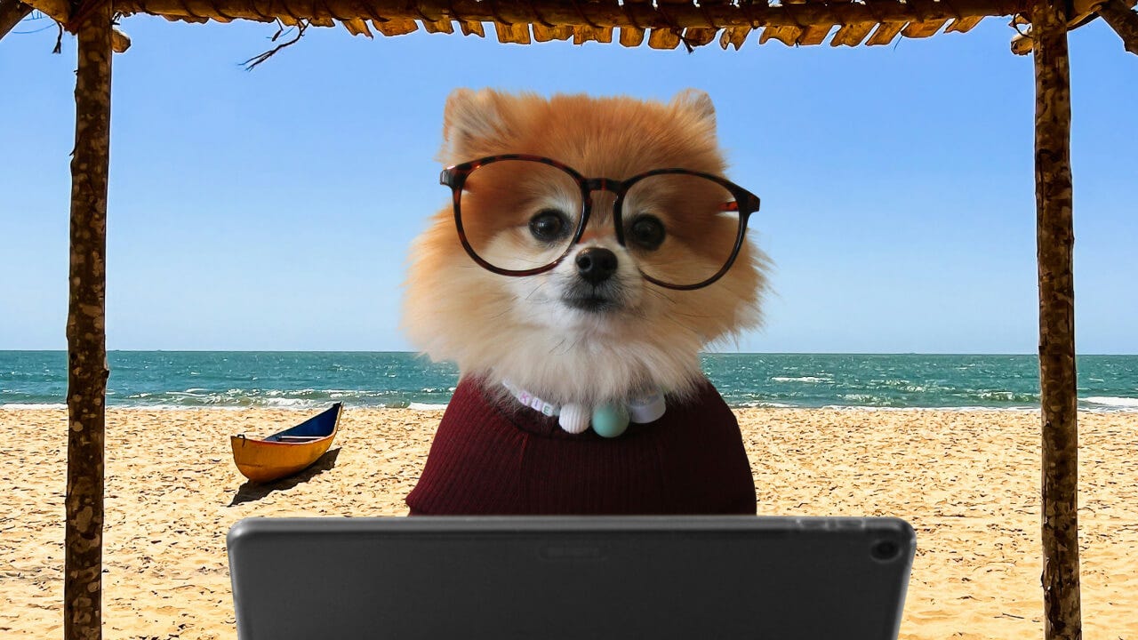 Hund mit Brille sitzt am Strand am Laptop