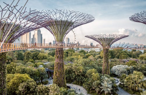MVP Singapore 2025