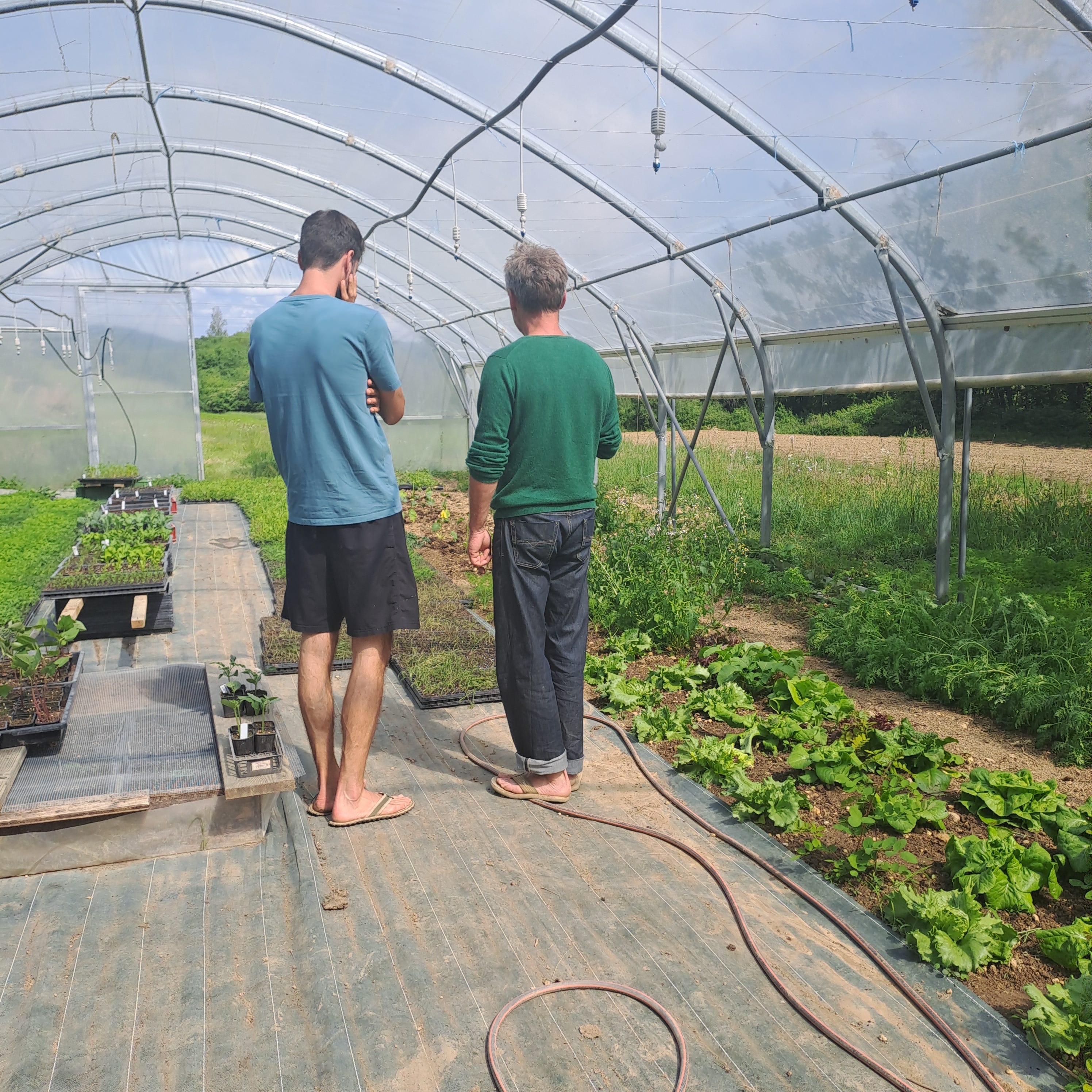 Ab aufs Feld mit dem neuen Jungpflanzen