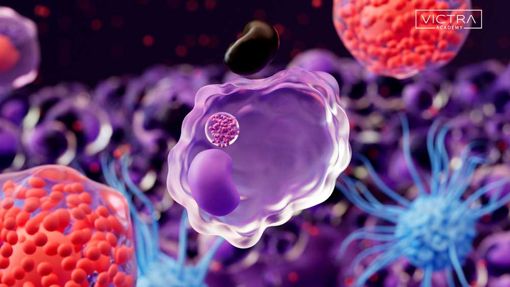 PMU Safety Guide Digistore24