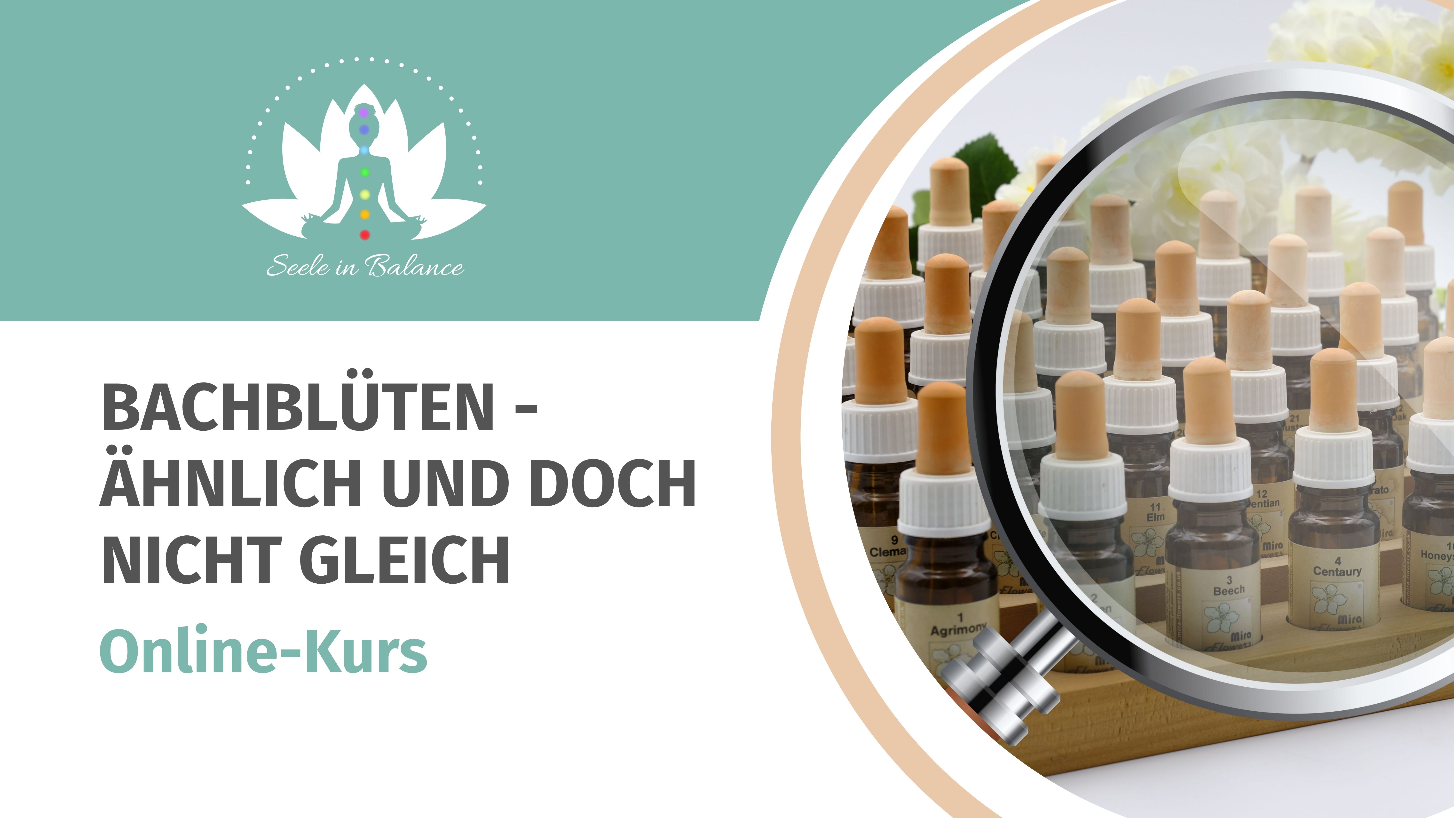 Bachblüten Kurse, Bachblüten Online-Kurse