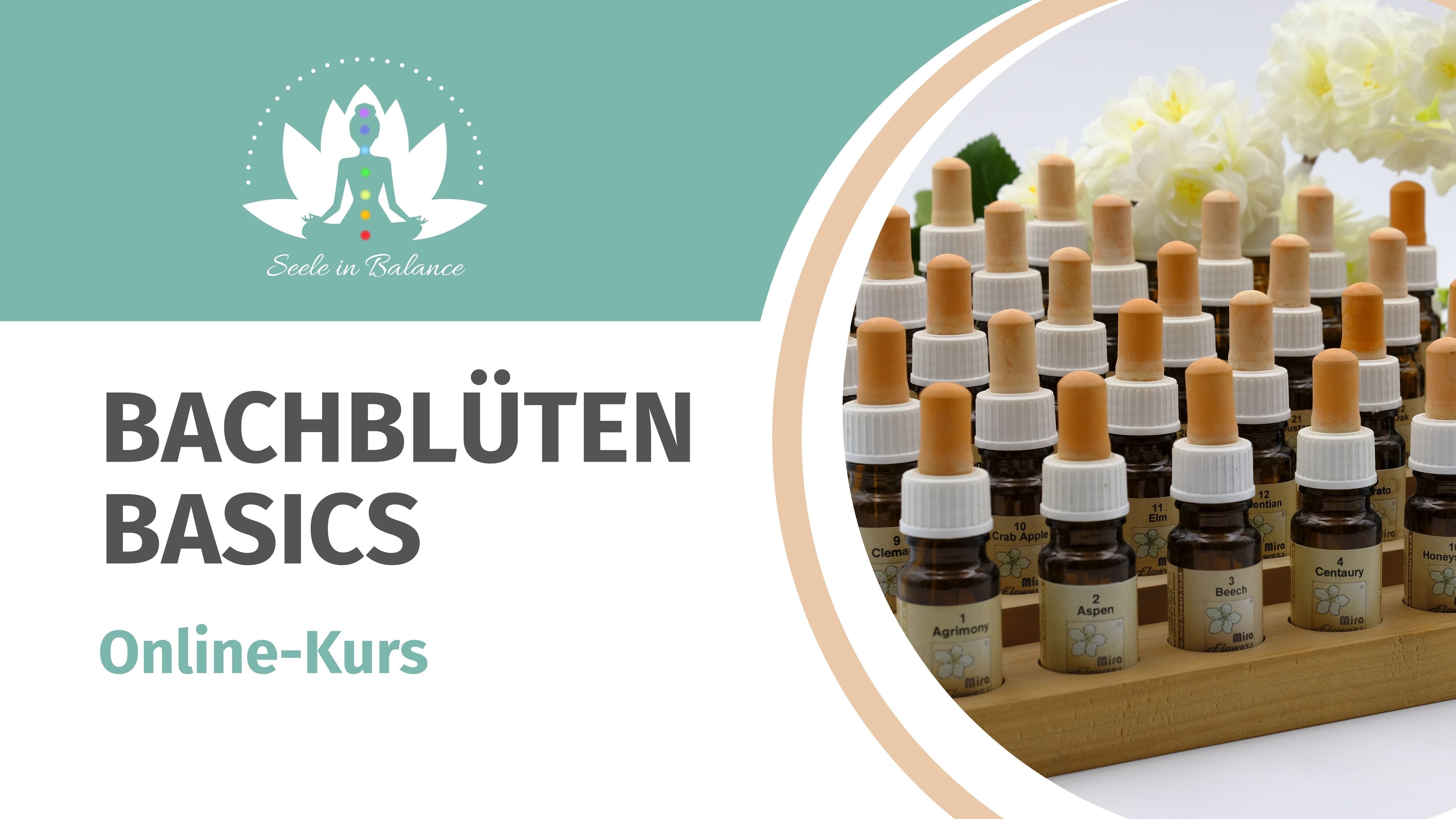 Bachblüten Basics, Bachblüten Grundlagen, Bachblüten Online-Kurse