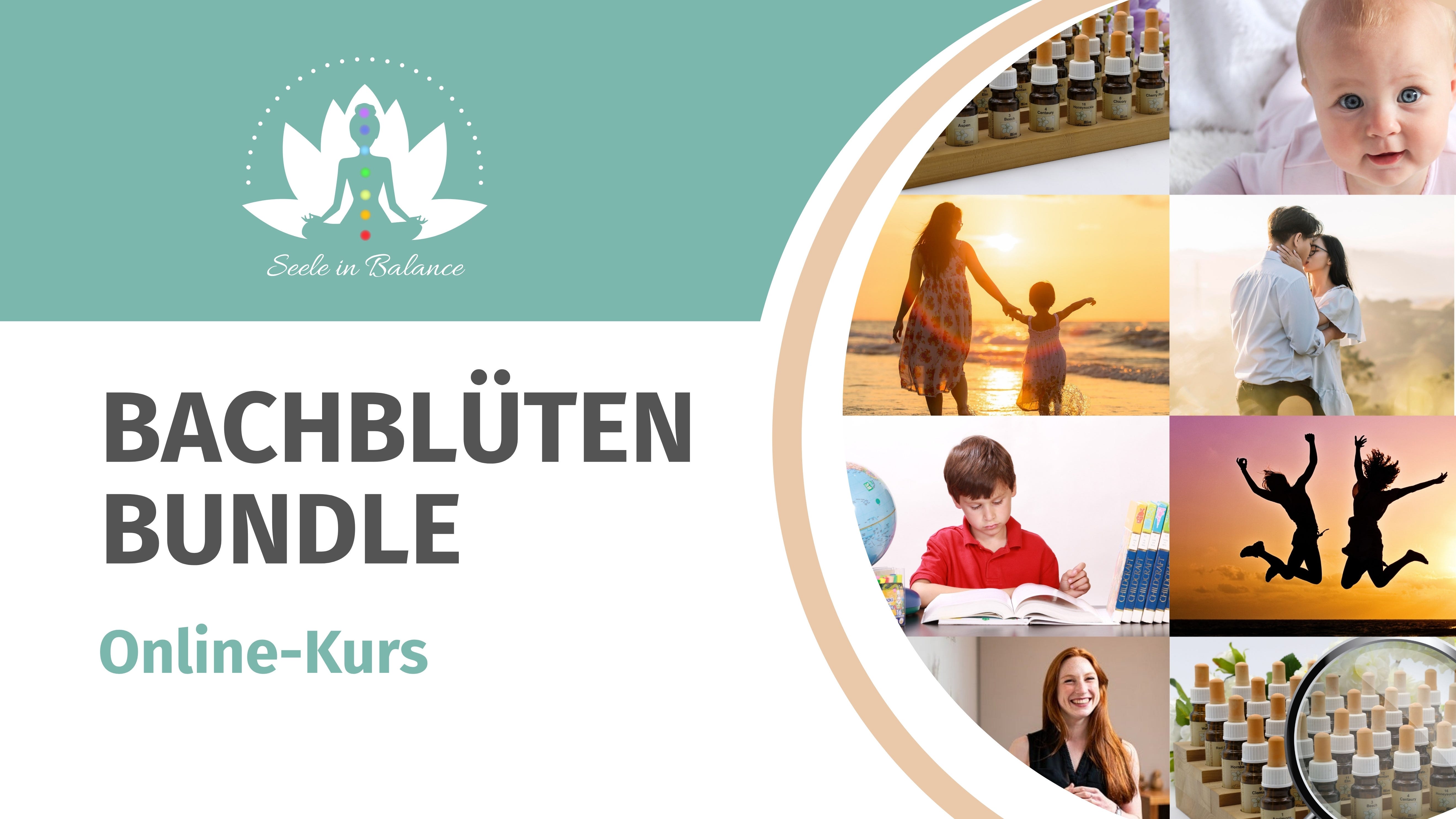 Bachblüten Online-Kurs Grundlagen Basics