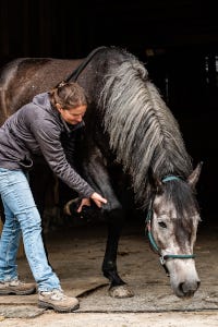 Mariana Therapie Pferd