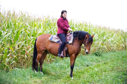 Sonja Bucher auf Feldweg mit Pferd - Gratis Webinar Muskelaufbau für Freizeitpferde