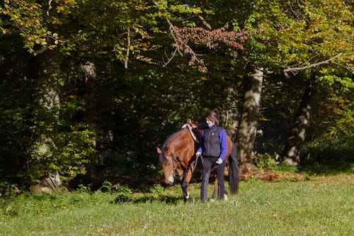 Sonja Bucher mit Freizeitpferd