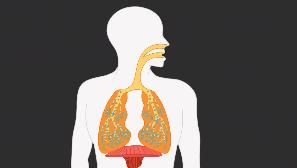 Atem Coaching Breathwork