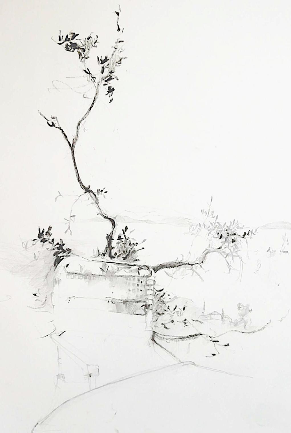  Komplett-Zeichenkurs Illustration 