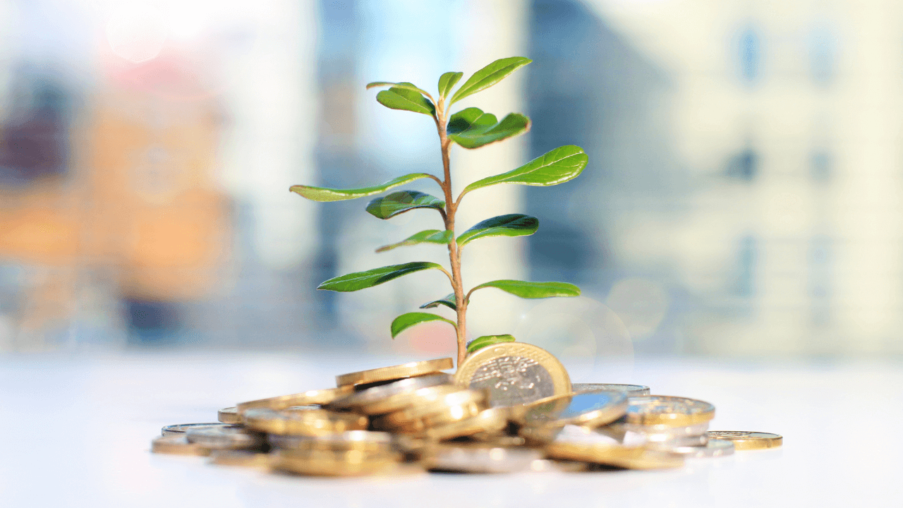 Ein Symbolbild für finanzielles Wachstum, das einen jungen Spross zeigt, der aus einem Haufen Euro-Münzen wächst. Das Bild spielt auf das Konzept an, dass Investitionen über die Zeit wachsen, ähnlich wie ein Baum aus einer Münze, die als Samen dient. Der Fokus liegt auf der Pflanze und den Münzen im Vordergrund, während der Hintergrund unscharf ist und städtische Konturen erkennen lässt.