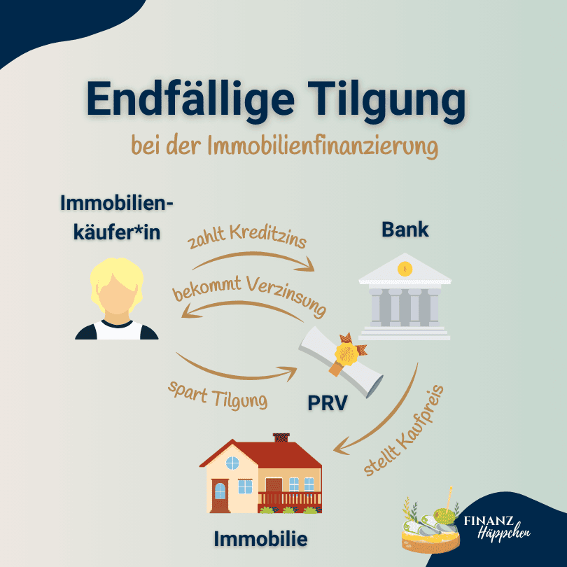 Infografik zur endfälligen Tilgung bei der Immobilienfinanzierung, zeigt die Interaktion zwischen Immobilienkäufer, Bank und privater Rentenversicherung (PRV), wobei der Immobilienkäufer Kreditzinsen zahlt, die Tilgung spart und gleichzeitig Verzinsung von der PRV erhält.